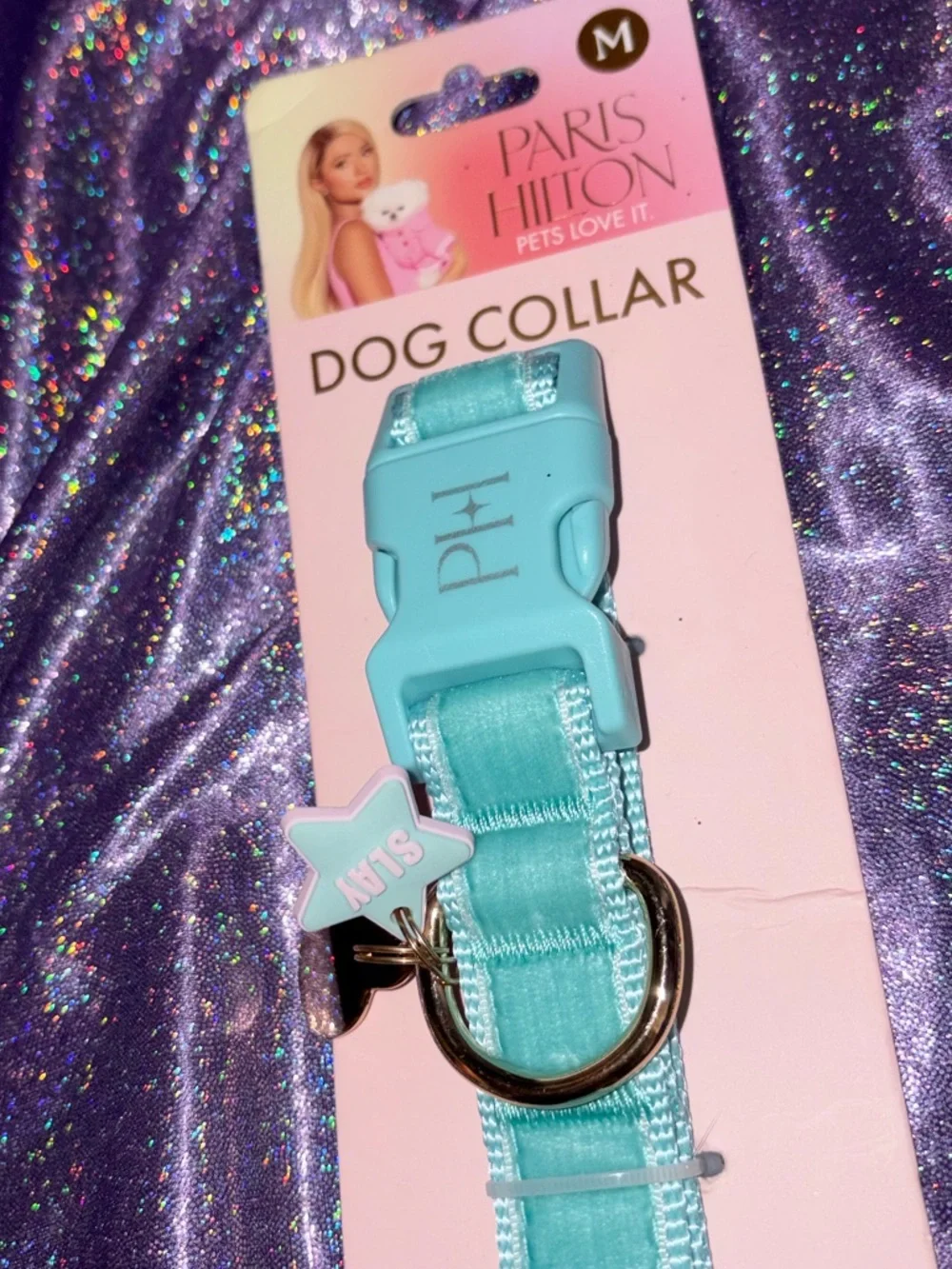 Paris Hilton Baby Blue Dog Collar